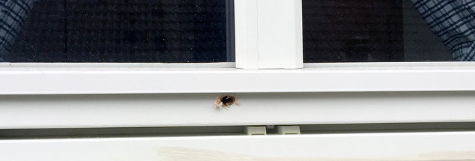  HULL:  Tyver borer hull i vinduene til folk. Slik klarer de å åpne vinduene og klatre inn. 